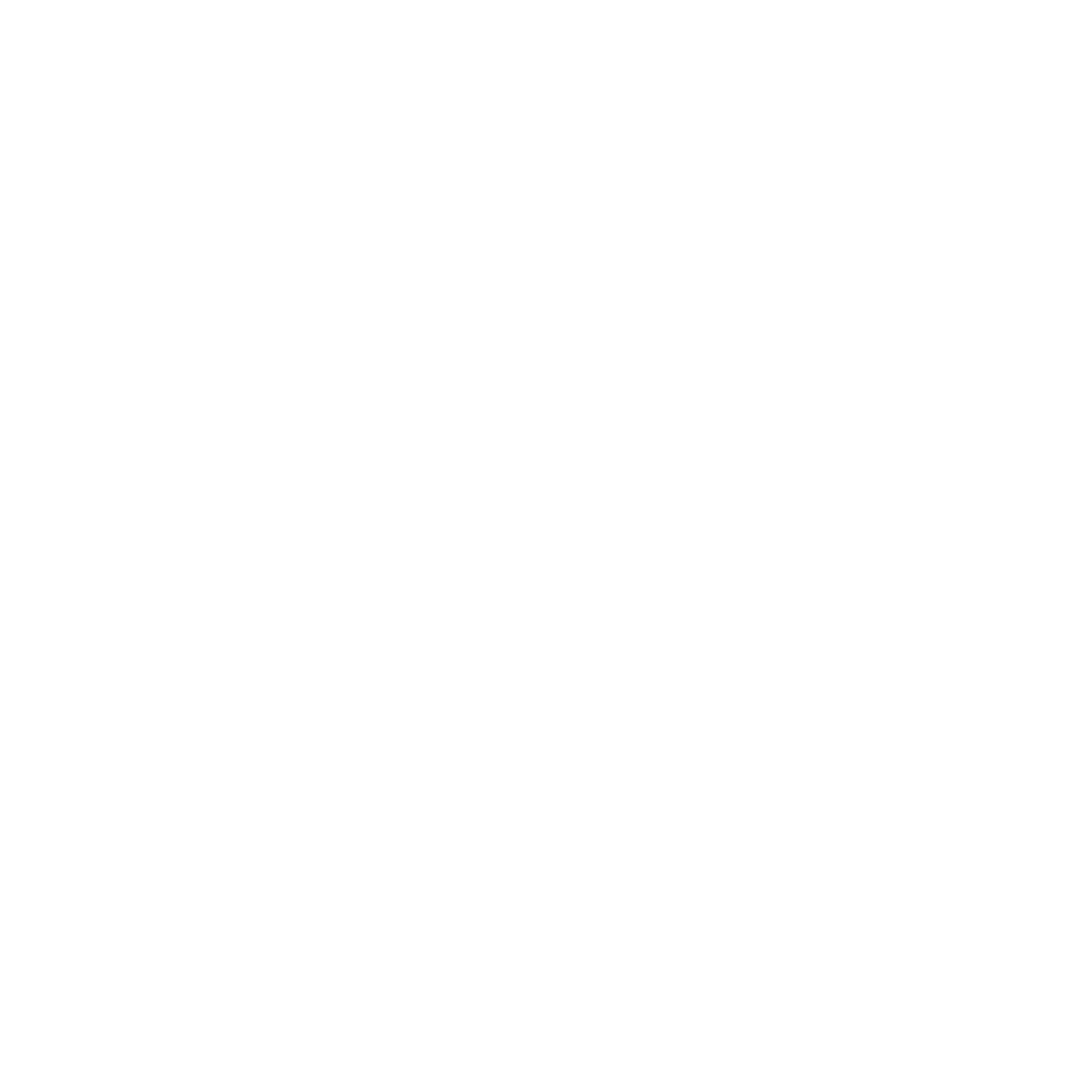 Alliance Key Biscayne Jiu-Jitsu Logo